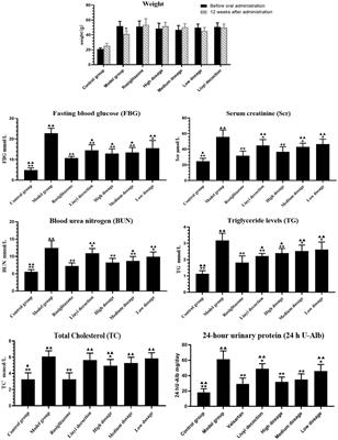 Effects of Huangqi Liuyi Decoction in the Treatment of Diabetic Nephropathy and Tissue Distribution Difference of its Six Active Constituents Between Normal and Diabetic Nephropathy Mouse Models